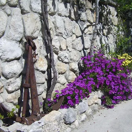 Apartments Villa More Daire *