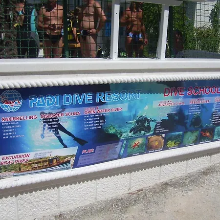 Apartments Villa More *