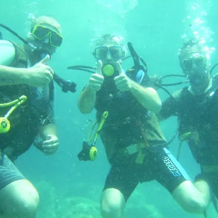 Apartment Apartments Villa More